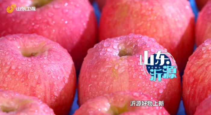 金钱发菜汤